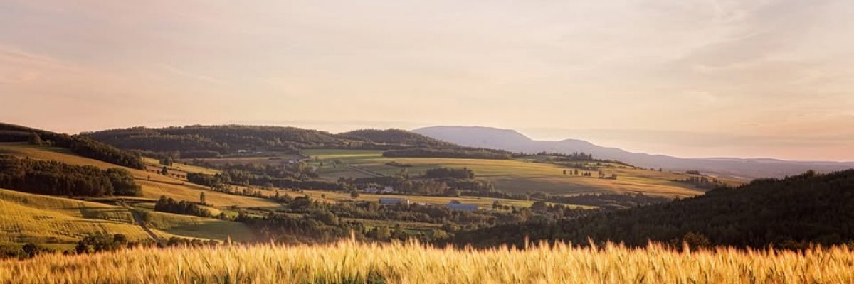 Le modèle agricole québécois à l’épreuve de l’agriculture de capitaux