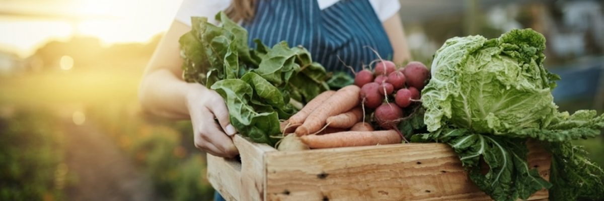 Autonomie alimentaire et politique bioalimentaire du Québec