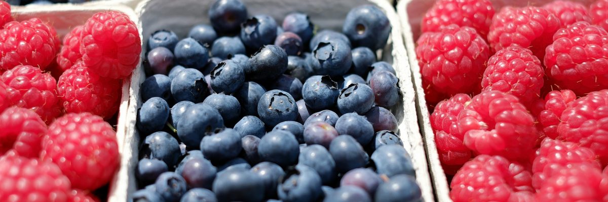 L’achat institutionnel au cœur du projet d’autonomie alimentaire au Québec