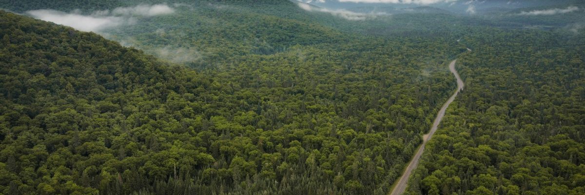 Au-delà du rejet du projet de loi 97,