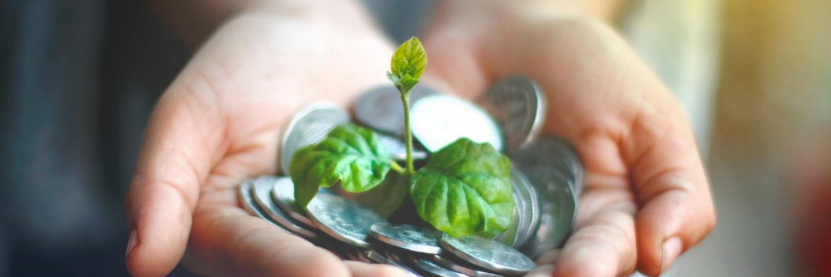 La transition écologique de l’économie : une ambition à revoir