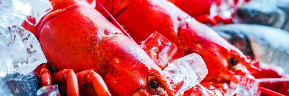 L'IRÉC publie une fiche sur le prix du homard