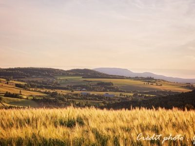 Le modèle agricole québécois à l’épreuve de l’agriculture de capitaux