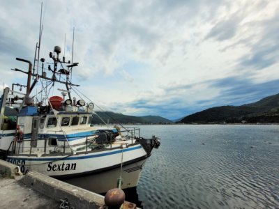 Agir maintenant pour assurer un futur durable aux pêches maritimes du Québec