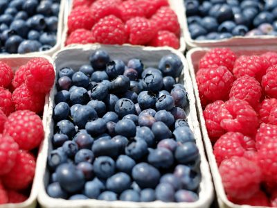 L’achat institutionnel au cœur du projet d’autonomie alimentaire au Québec