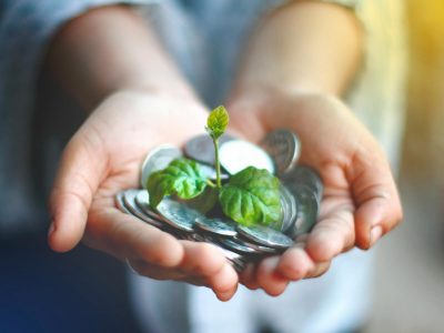 La transition écologique de l’économie : une ambition à revoir