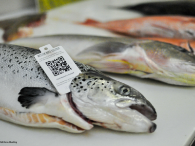 L’identification et la traçabilité : un défi et une solution pour mettre en valeur les poissons et fruits de mer du Saint-Laurent