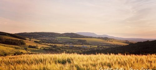 Le modèle agricole québécois à l’épreuve de l’agriculture de capitaux