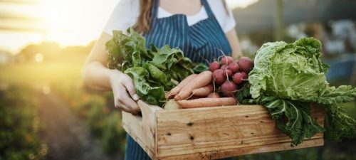 Autonomie alimentaire et politique bioalimentaire du Québec