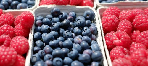 L’achat institutionnel au cœur du projet d’autonomie alimentaire au Québec