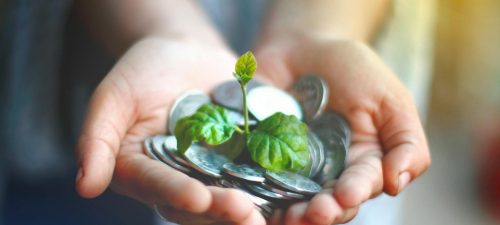 La transition écologique de l’économie : une ambition à revoir