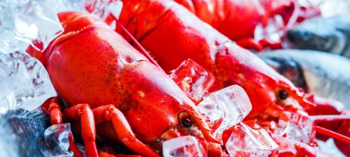 L'IRÉC publie une fiche sur le prix du homard
